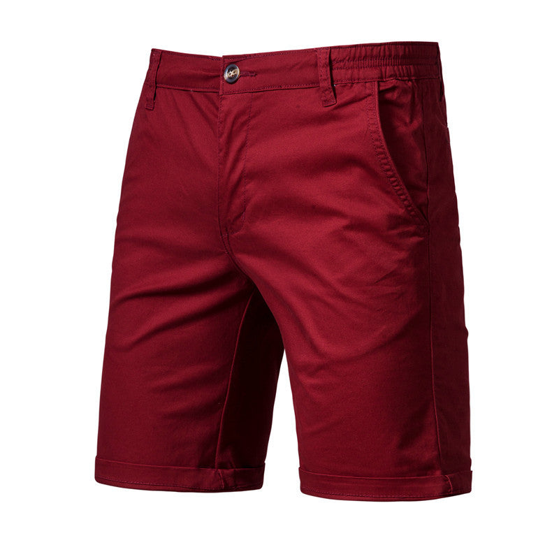 Men's Casual Shorts Straight Slim Fit