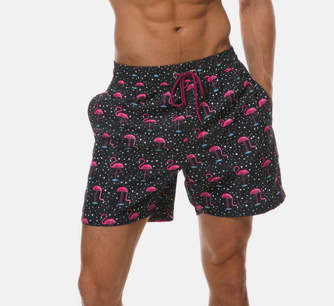 Men's Beach Pants Quarter Print Shorts