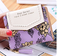 Ladies wallet women long tassel zipper bag