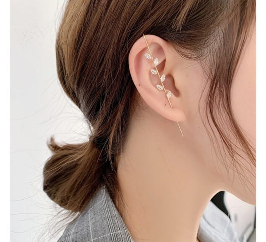 Zircon Earrings Pierced Earrings Women