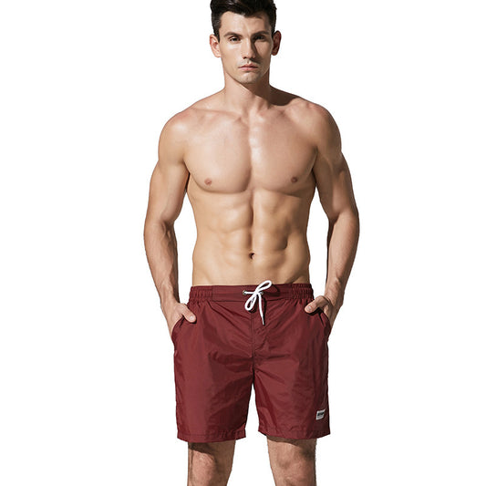 Quickly Dry Board Shorts