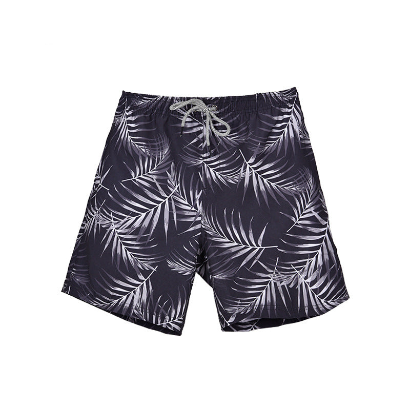 Summer Quick-drying Shorts Men's Beach Pants