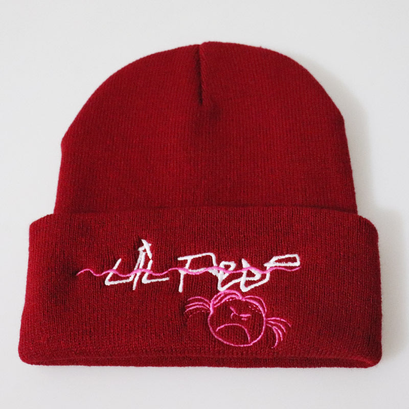 Embroidered knit hat