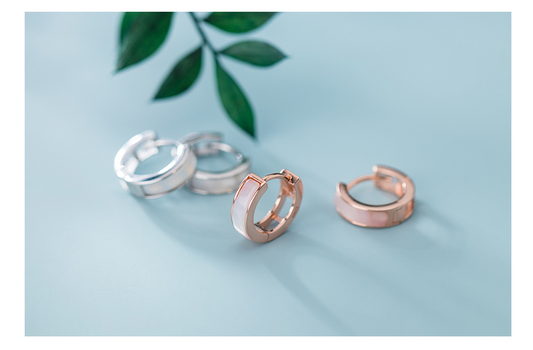 S925 silver earrings women